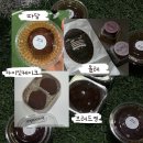 따담 | 광주두쫀쿠후기5탄: 따담, 브레드영, 아이잇케이크, 몰레