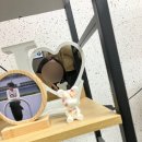 지하철역사 (중구청역) | 대전 1박 2일 뚜벅이 대전여행 1일차 일정 빵사러 성심당 갔는데 하루가 그냥 너무 행복했어요
