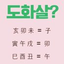 #2703 나는 누구인가? - 桃花殺(도화살) 이미지