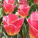 호수와 노을민박 이미지