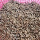 금산홍삼사료 이미지