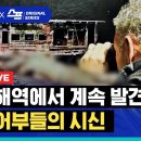 일본 해역에서 매년 100구 이상 발견되는 북한 어부들의 시신…알고 보니 중국 오징어잡이 배들 때문? / The Outlaw Ocean 이미지