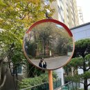 보들 반려견 미용실 이미지