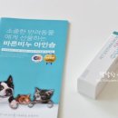 산뜻하개 이미지
