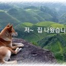 복 이미지