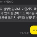 영디벨로