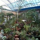 새집만석꾼 이미지