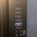 (주)쿨리 | [잠실] 소피텔 앰배서더 서울 호텔 페메종 디너 뷔페 르봉마르쉐 후기