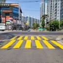 신흥초교 이미지