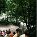 앞산고산골 유아숲체험원 이미지
