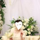 스띨레디허웨딩