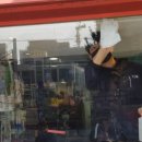 큐피트동물병원 이미지