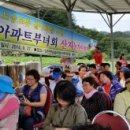 흥배농장 네이버블로그
