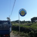 동광프린팅 | 제주에 온 무민과 친구들 '제주 무민랜드' 후기