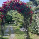 바람재두리펜션 이미지