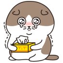 깨끗한속내과의원 이미지