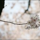 월명수산