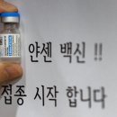 해맑은내과의원 중앙일보