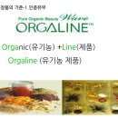 올가라인 이미지