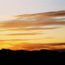 순천만 습지 이미지