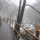 백련사안내소 이미지