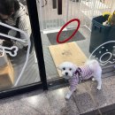 몽스토랑 이미지