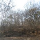 젤미마을6단지 주공아파트 이미지