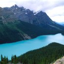 파크필드 이미지