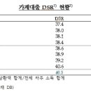 부동산 규제 ‘최후의 보루’ DSR 완화 꿈틀 이미지