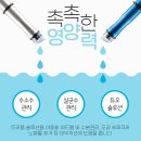 엘리나의원 네이버블로그