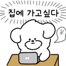건축가의 서재