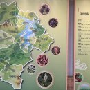 산약초 생활건강 이미지