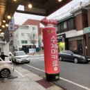 대전 당일 픽업 도시락 케이크 추천 - 자양동 꽃카롱, 당일 예약해서 받는 커스텀 레터링 케이크