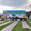 밤호프 이미지