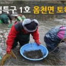 청자골토하