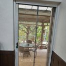 독도볼태기 이미지