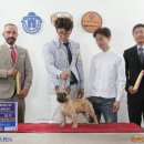 브리더클럽 이미지