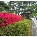 성요셉치매센타 이미지