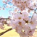 봄날세탁 이미지