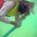 삼포농장 이미지