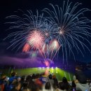 2020 태화강 빛 축제 이미지