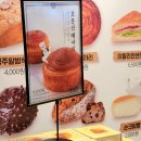 [대전맛집] 대전 빵지순례 필수코스 성심당 본점 방문 후기