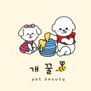 개꿀샵 이미지