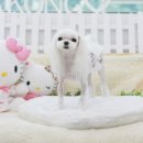 아콩하우스 이미지