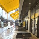 펫디저트(Pet Dessert) | 달다곰이 미사파라곤점 :: 곰돌이는 없지만 빵순이 눈 돌아가는 펫프렌들리 대형 카페 🐻✨