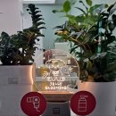 젤리그루밍 이미지