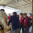 고흥-9호 이미지