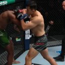 정다운인(IN) 이미지