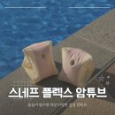 물놀이 필수템 용품 추천 색상 이쁜 성인용 스네프 플렉스 암튜브