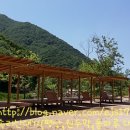 속리산통나무펜션 이미지